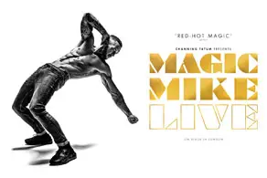 Magic Mike Live Show Image