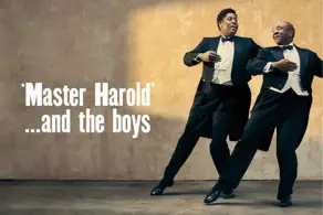 'Master Harold'... and the boys Show Image