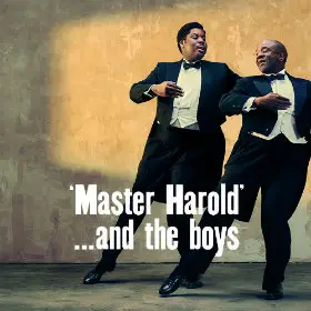 'Master Harold'... and the boys Title Image