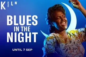 Blues in the Night Poster Image
