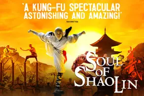 Soul of Shaolin Poster Image