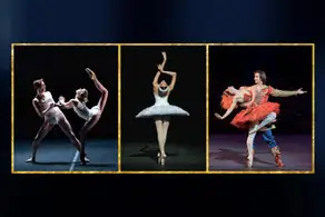 The Ballet Icons Gala Poster Image