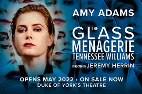 The Glass Menagerie Show Image