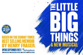 The Little Big Things Poster Image