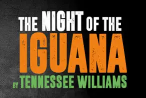 The Night of the Iguana Poster Image