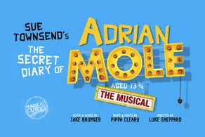The Secret Diary of Adrian Mole - The Musical Poster Image