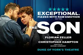 The Son Poster Image