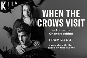 When the Crows Visit Poster Image