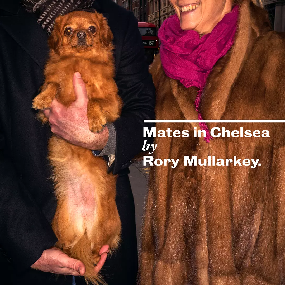 Mates in Chelsea Title Image