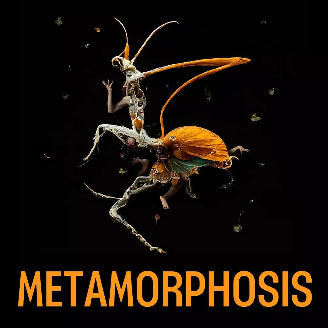 Metamorphosis Title Image