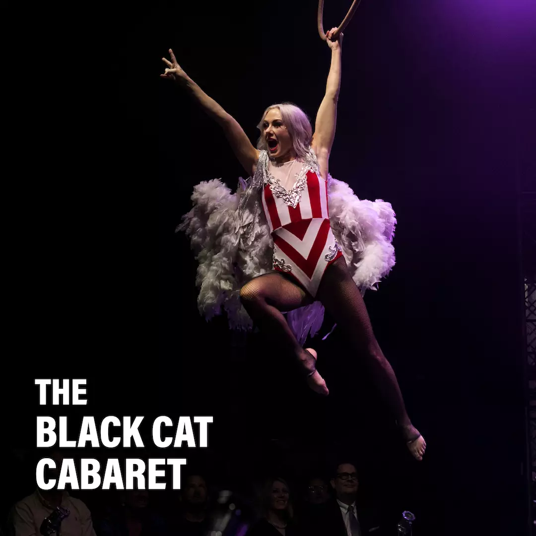 The Black Cat Cabaret Title Image