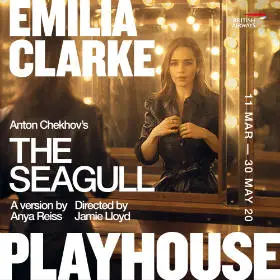The Seagull  Title Image