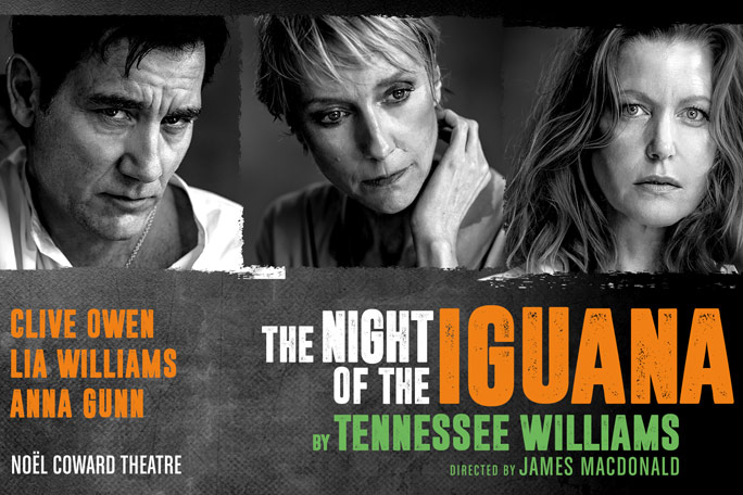 The Night of the Iguana Header Image