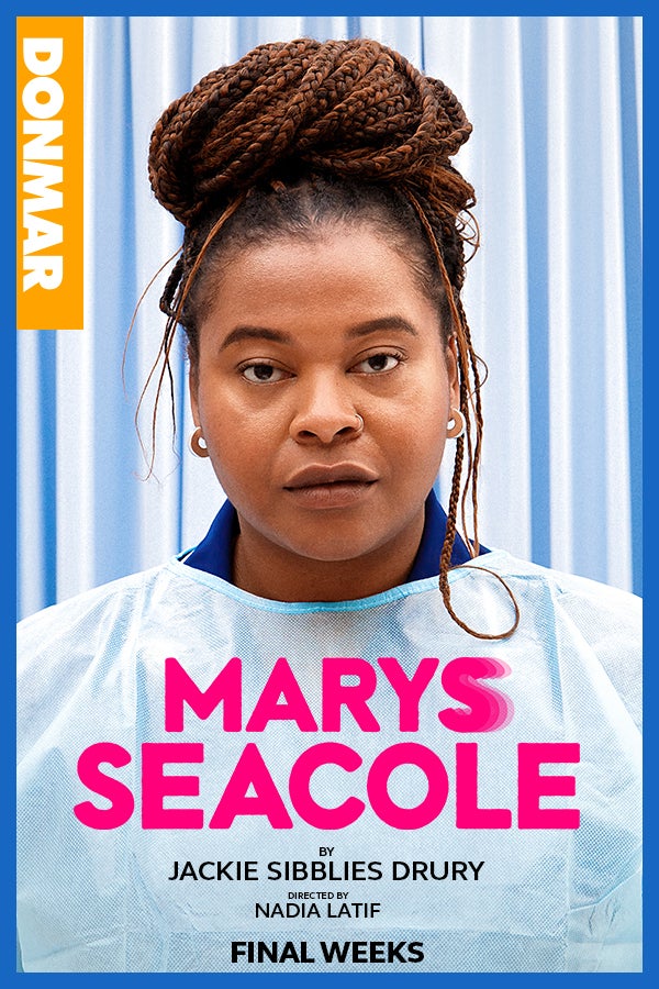 Marys Seacole Rectangle Poster Image