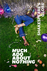 Much Ado About Nothing  Rectangle Poster Image