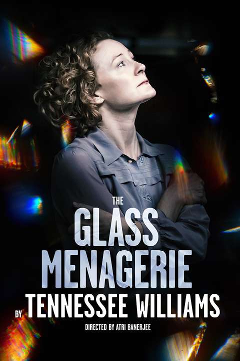 The Glass Menagerie Rectangle Poster Image