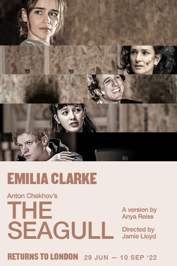 The Seagull Rectangle Poster Image